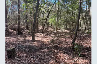 Tbd E Fm 1988, Goodrich, TX 77335 - Photo 21