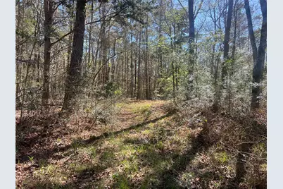 Tbd E Fm 1988, Goodrich, TX 77335 - Photo 13