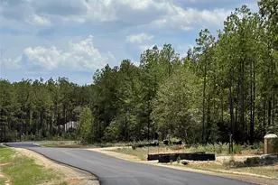 15751 Ridge Rock Rd Rd, Willis, TX 77378 - Photo 9