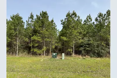 15751 Ridge Rock Rd Road, Willis, TX 77378 - Photo 7