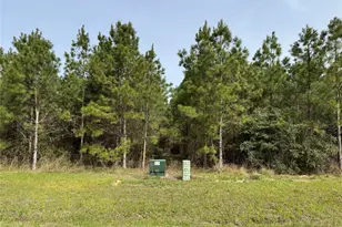 15751 Ridge Rock Rd Rd, Willis, TX 77378 - Photo 7