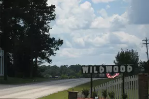 101 Locust, Village Mills, TX 77663 - Photo 31