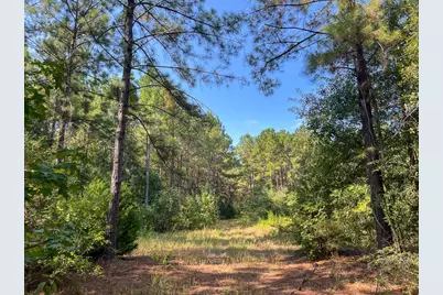 T-1 Cr 2150, Woodville, TX 75979 - Photo 19