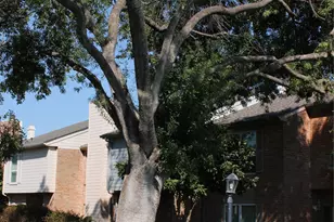 5976 Woodway Place Ct, Houston, TX 77057 - Photo 29