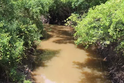 7991 Pr 1235, Centerville, TX 75833 - Photo 19