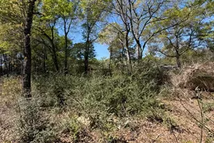 5616 Tall Pine Rd, Navasota, TX 77868 - Photo 21