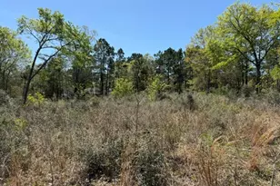 5616 Tall Pine Rd, Navasota, TX 77868 - Photo 25