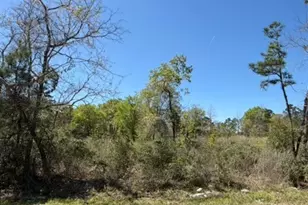 5616 Tall Pine Rd, Navasota, TX 77868 - Photo 27