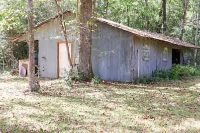 3680 Holly Grove Road, Livingston, TX 77351 - Photo 13