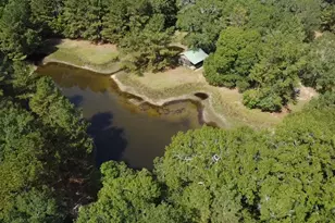 3680 Holly Grove Rd, Livingston, TX 77351 - Photo 1