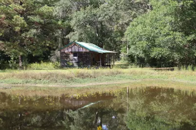 3680 Holly Grove Road, Livingston, TX 77351 - Photo 19