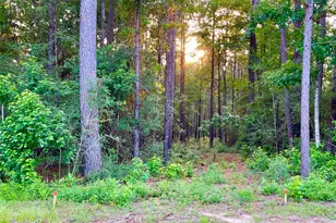 1-1-31 Texas Grand Rd, Huntsville, TX 77340 - Photo 1