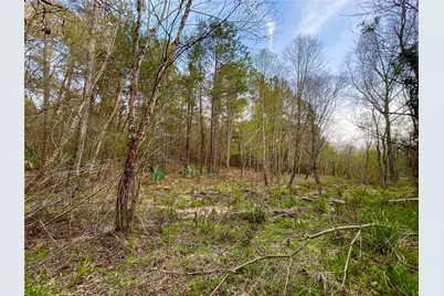 1-1-31 Texas Grand Road, Huntsville, TX 77340 - Photo 5