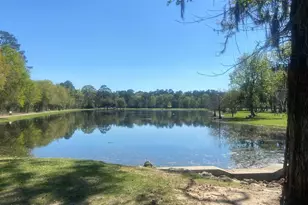 96 Madrone Terrace Pl, Tomball, TX 77375 - Photo 47