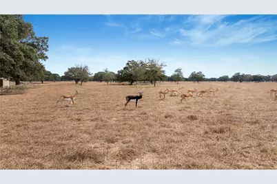 13320 US Highway 77 S, Hallettsville, TX 77964 - Photo 17