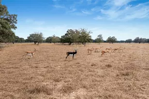 13320 US Hwy 77 S, Hallettsville, TX 77964 - Photo 17