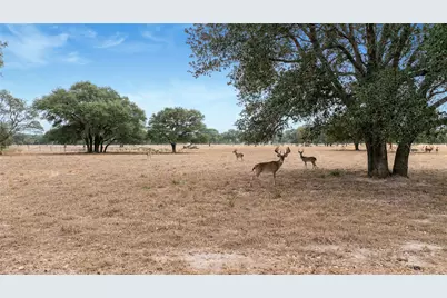 13320 US Highway 77 S, Hallettsville, TX 77964 - Photo 15