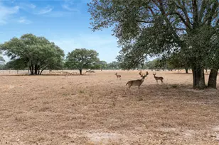 13320 US Hwy 77 S, Hallettsville, TX 77964 - Photo 15