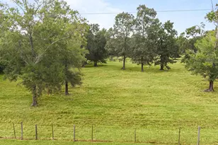 0 Turtle Rd, Wallisville, TX 77597 - Photo 1
