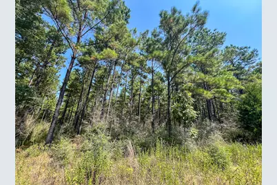 T-4 Fm 256, Woodville, TX 75979 - Photo 19