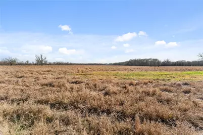 Tract 2 Cr 117, Hungerford, TX 77448 - Photo 11