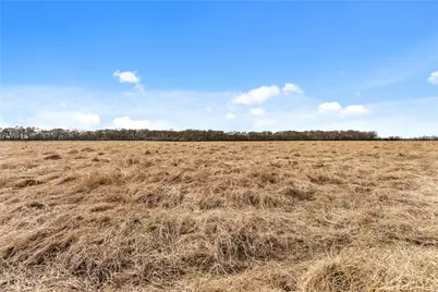 Tract 2 Cr 117, Hungerford, TX 77448 - Photo 15