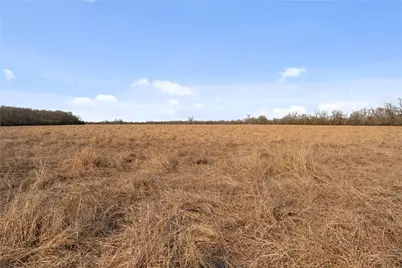 Tract 2 Cr 117, Hungerford, TX 77448 - Photo 17