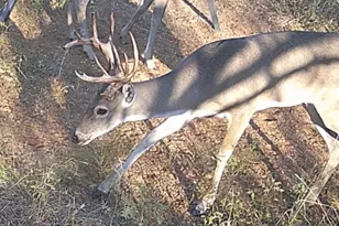 0 Broze Road Rd, Humble, TX 77338 - Photo 25
