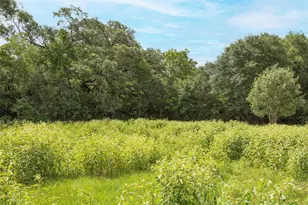 Tbd Cr 212 - Tract 5, Hallettsville, TX 77964 - Photo 5