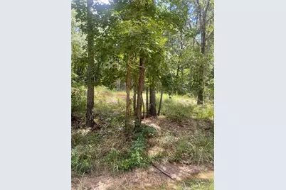 70 Tall Timbers Trail, Coldspring, TX 77331 - Photo 7