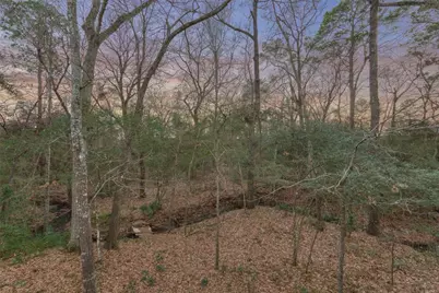 113 Pine Branch Drive, Montgomery, TX 77356 - Photo 45