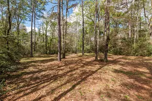 12062 Ike White Rd, Conroe, TX 77303 - Photo 5