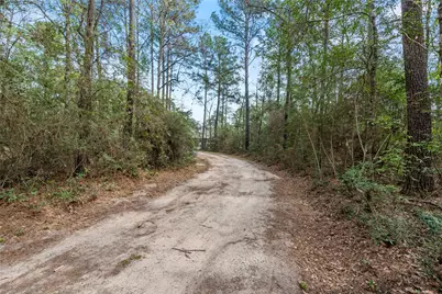 12062 Ike White Road, Conroe, TX 77303 - Photo 7