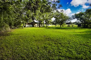 1203 County Rd 677, Brazoria, TX 77422 - Photo 3