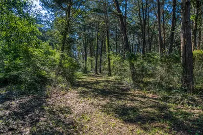 1017 Allen Road, Cat Spring, TX 78933 - Photo 45