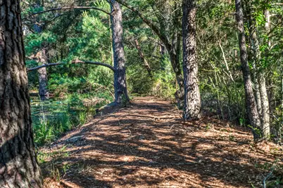 1017 Allen Road, Cat Spring, TX 78933 - Photo 43