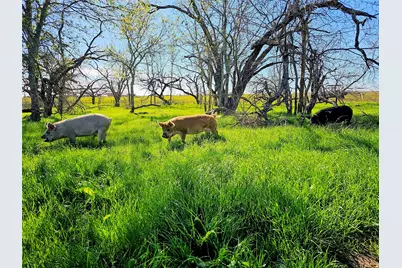 2970 County Road 270, Cameron, TX 76520 - Photo 45