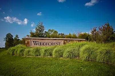 238 Bronze View Drive, Montgomery, TX 77316 - Photo 49
