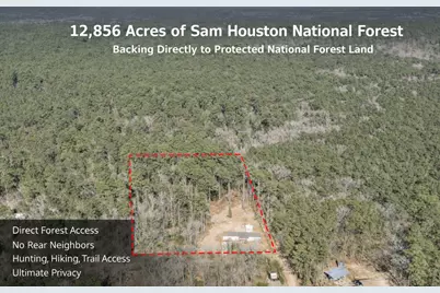 99 Fawn Drive, New Waverly, TX 77358 - Photo 1