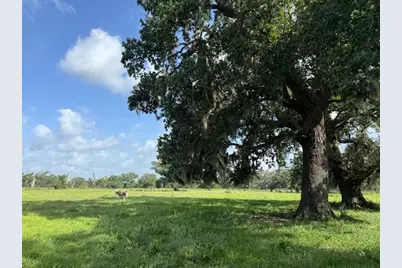 0 County Road 153 Sims Ave Road, Cedar Lane, TX 77415 - Photo 5