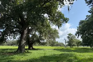 0 County Road 153 Sims Ave Rd, Cedar Lane, TX 77415 - Photo 1