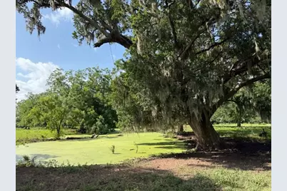 0 County Road 153 Sims Ave Road, Cedar Lane, TX 77415 - Photo 23