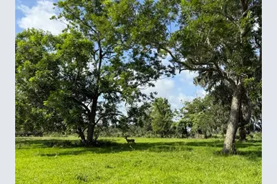 0 County Road 153 Sims Ave Road, Cedar Lane, TX 77415 - Photo 35