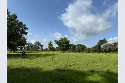 0 County Road 153 Sims Ave Road, Cedar Lane, TX 77415 - Photo 9