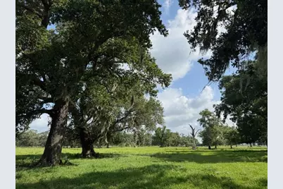 0 County Road 153 Sims Ave Road, Cedar Lane, TX 77415 - Photo 33
