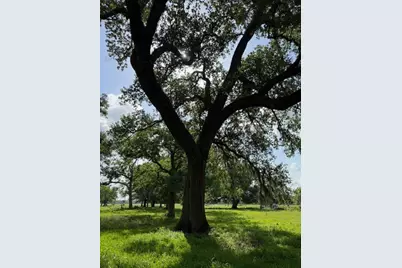 0 County Road 153 Sims Ave Road, Cedar Lane, TX 77415 - Photo 7