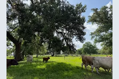 0 County Road 153 Sims Ave Road, Cedar Lane, TX 77415 - Photo 11