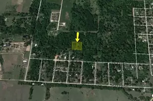 0 Hamilton, Hempstead, TX 77445 - Photo 1