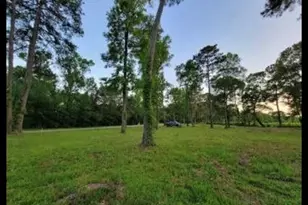 10171 Ehlers Rd, Conroe, TX 77302 - Photo 1