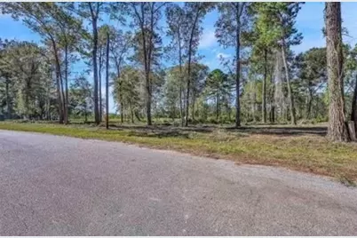 10171 Ehlers Road, Conroe, TX 77302 - Photo 3